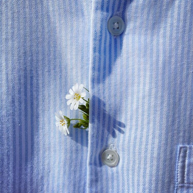 Shirt Fooji (demo)